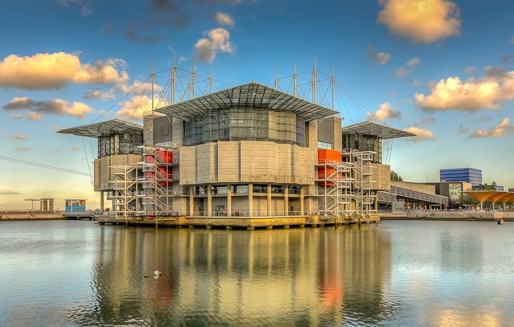 This is the best oceanarium in the world in Lisbon Portugal