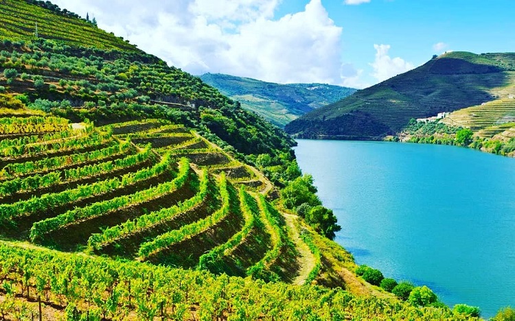 The 8 Most Beautiful Villages of the Douro Wine Region Portugal